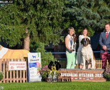 Cheril - Speciální výstava Žamberk 2024